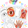 B1FA3AA1-F6E1-4FEF-A914-C37A6A2B38B1 2 Human Body X-Rays!